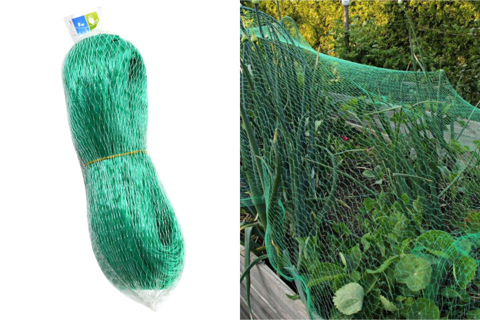 Vogelnetz grün, 4x5m, Maschenweite 30x30mm