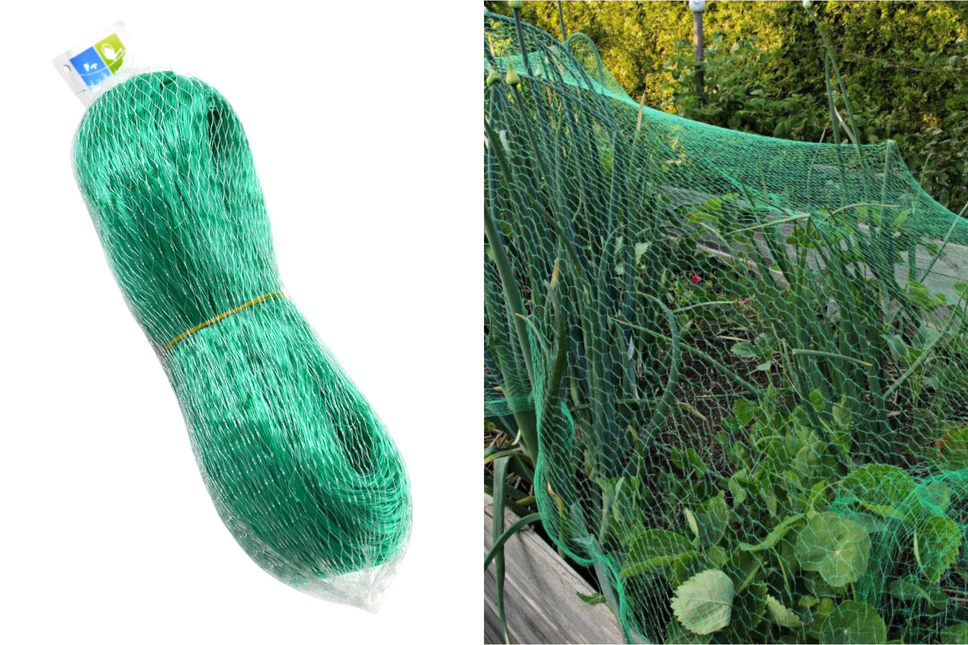 Vogelnetz grün, 4x10m, Maschenweite 30x30mm