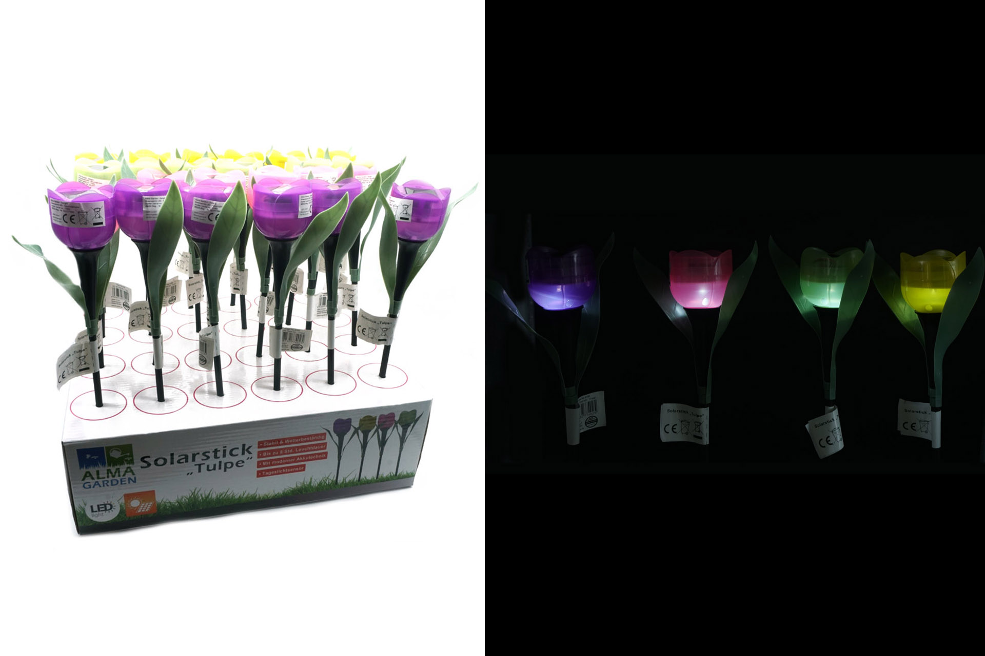 Solar Stick Tulpe, 4 Farben, im Display